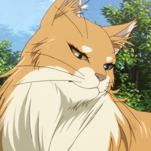 meow meroww mrowwww meow